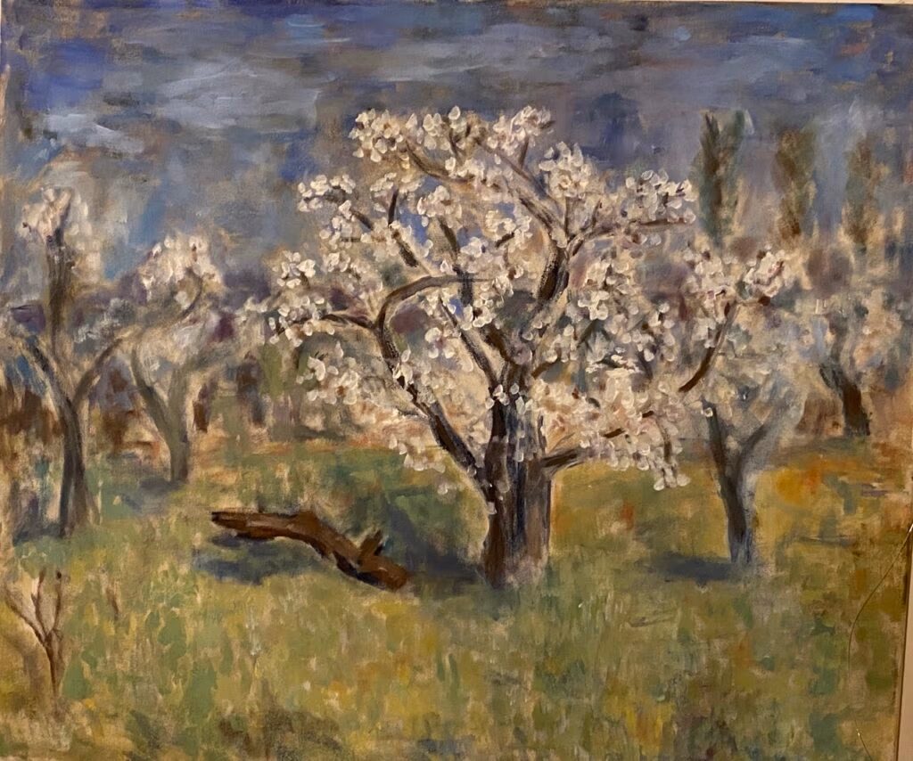 Kirschblüte in Ingelheim im Frühjahr